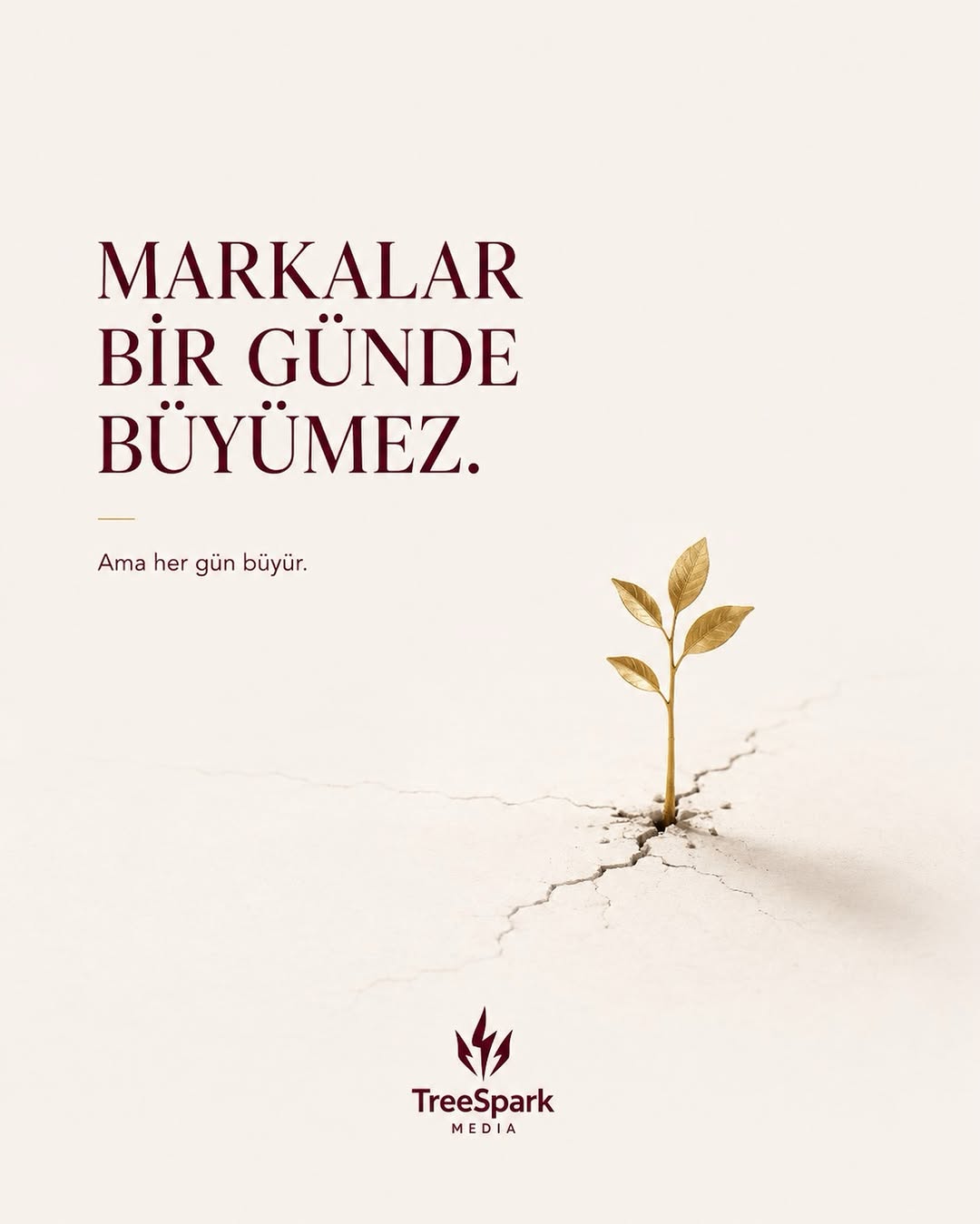 Markalar bir günde büyümez mesajlı TreeSpark Media marka büyüme görseli